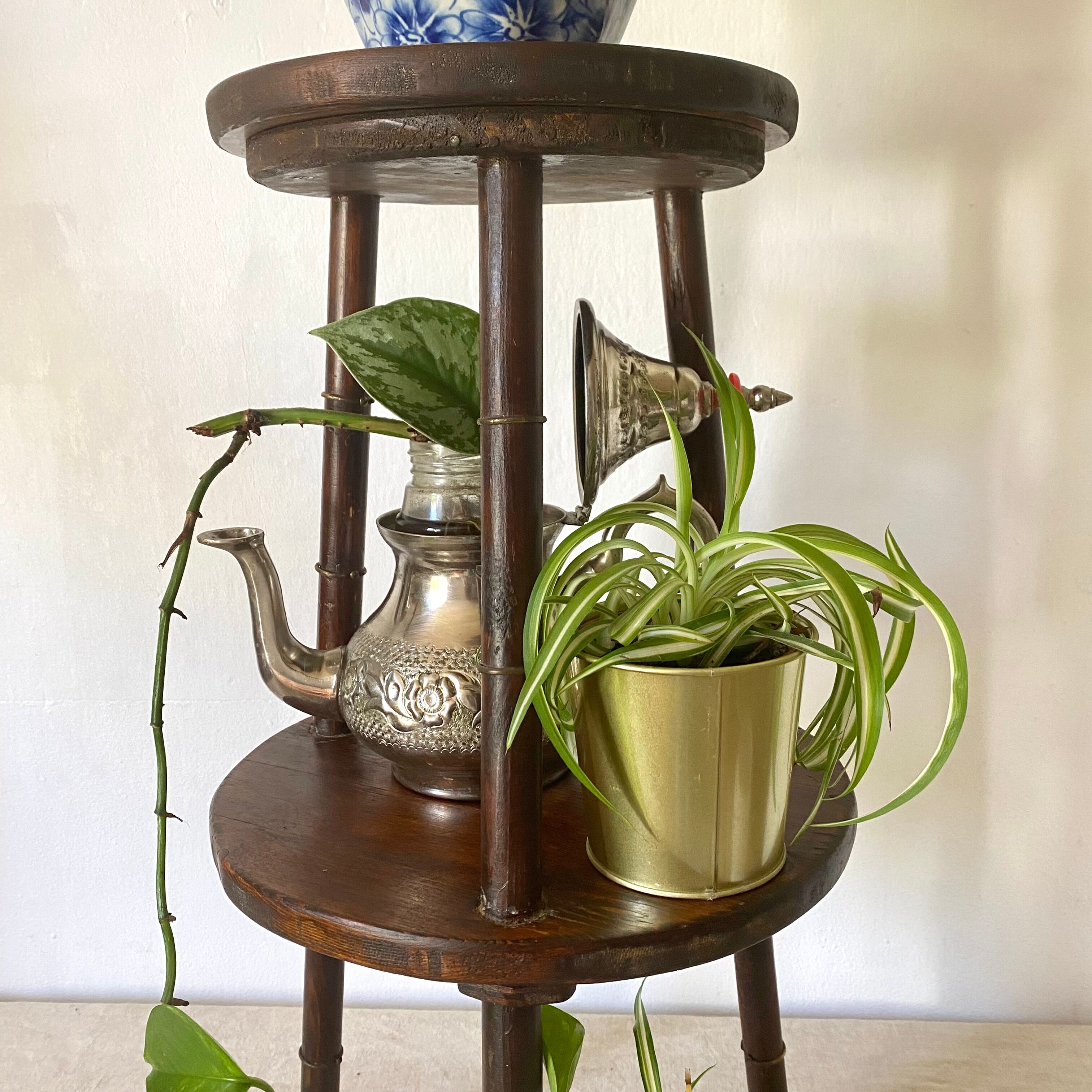 Plant holder, harness 2 trays