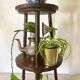 Plant holder, harness 2 trays