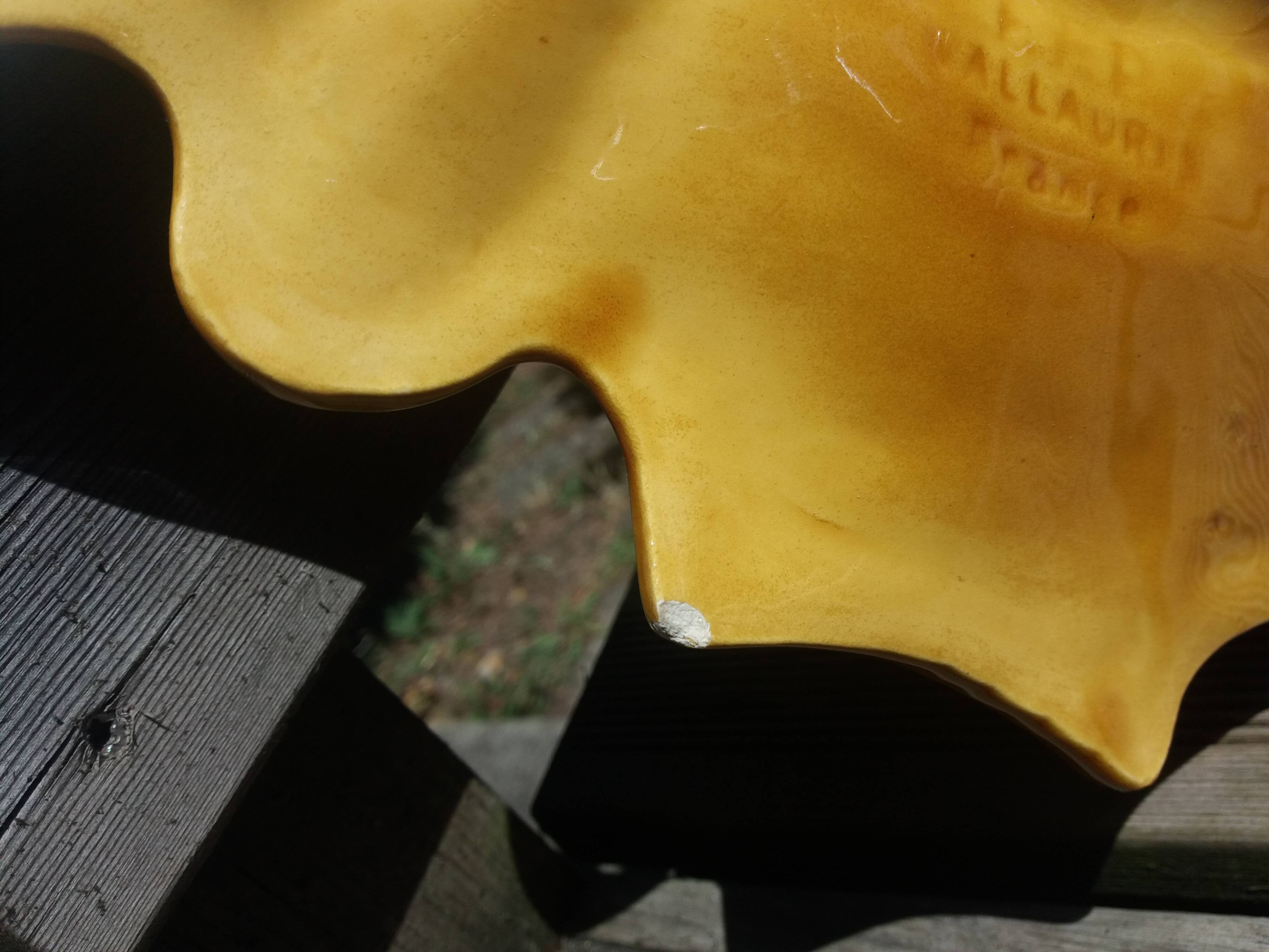 Empty fruit bowl FPP Vallauris leaf