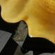 Empty fruit bowl FPP Vallauris leaf
