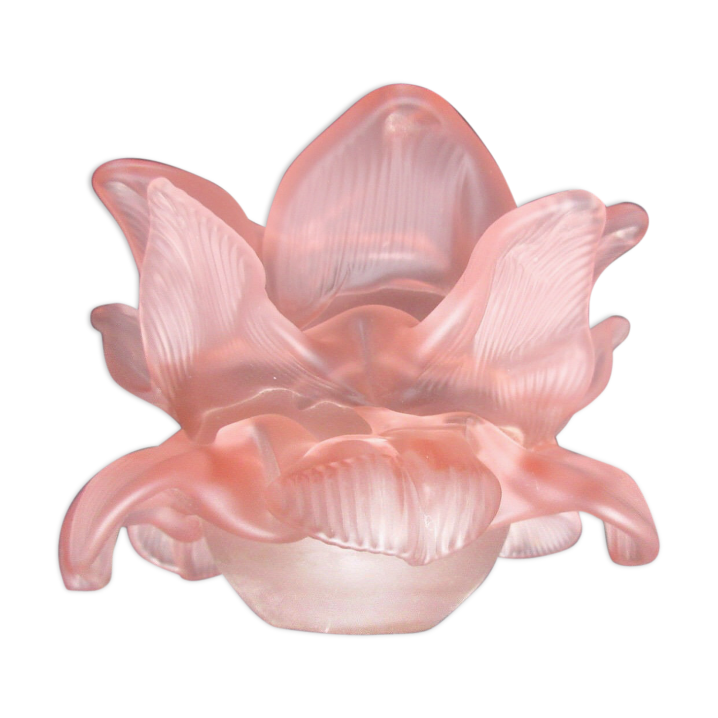Art Deco lamp tulip in pink glass paste: Flower with 18 petals
