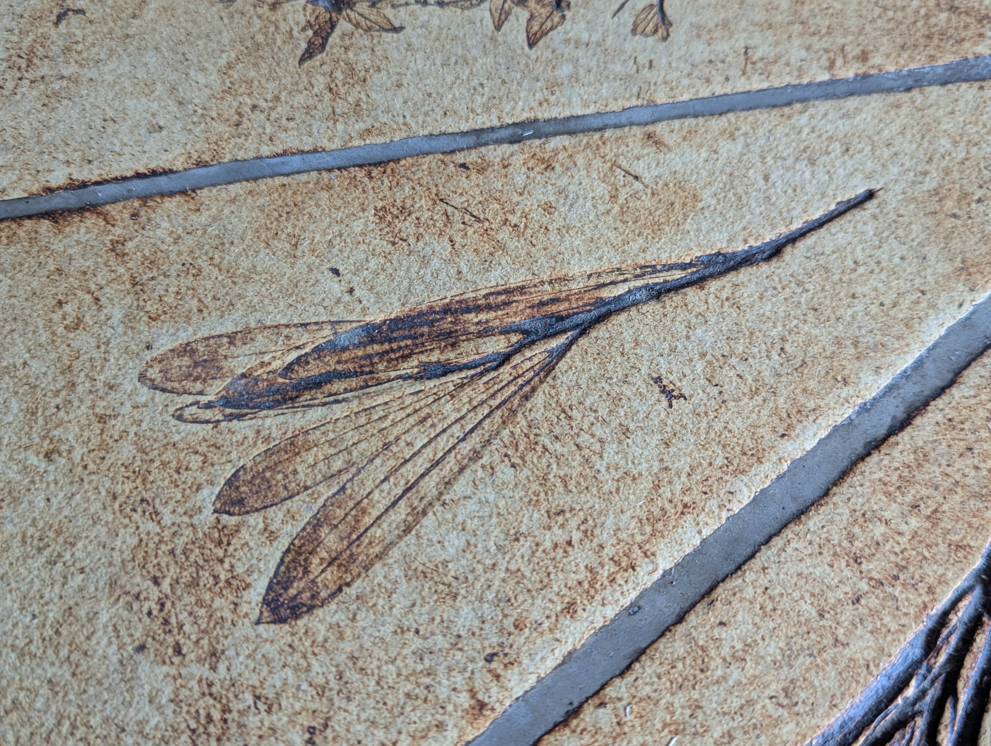 Roger Capron high table, 'Herbiers' model