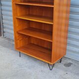 Scandinavian shelf 1960