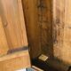 Painted Bavarian wardrobe, Germany 19th's