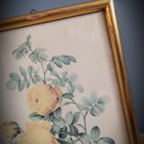 Rose lithograph frame Rosa Sulfura