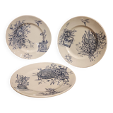 French vintage plate, R. Lafitte, Terre de Fer, Salins