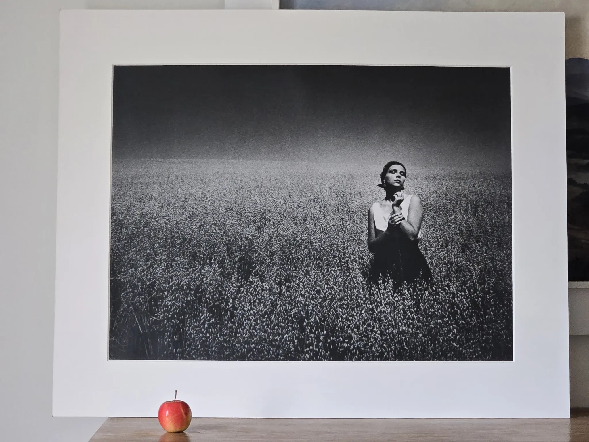 Vintage photograph print 1985 analogue XXL