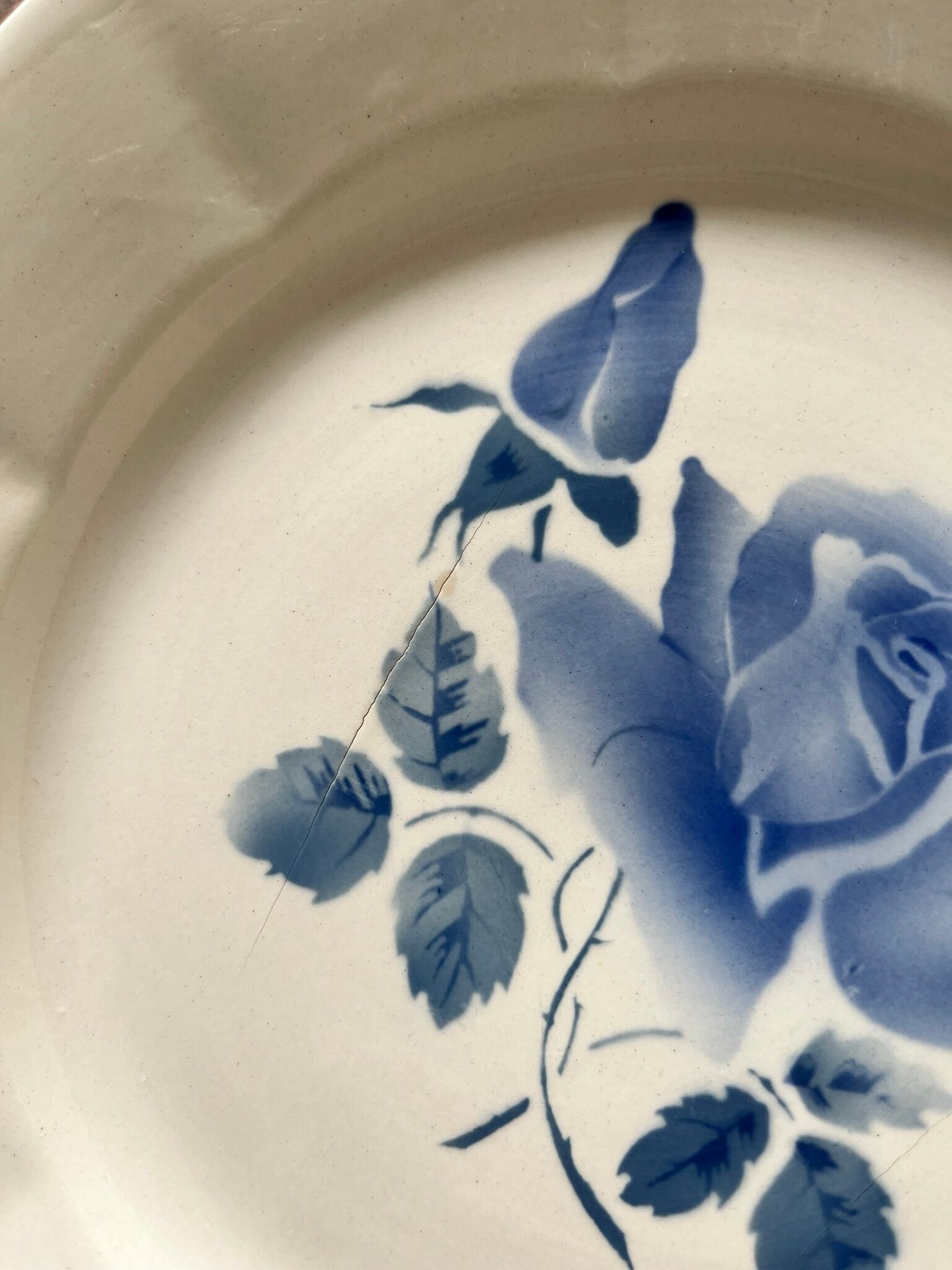 6 flat plates old Digoin & Sarreguemines decoration "blue rose"