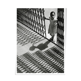 Shadows, Rajasthan
