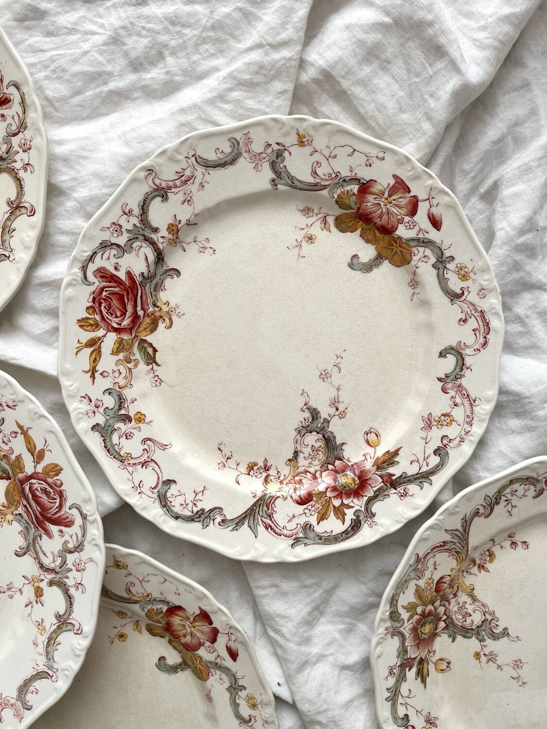 6 polychrome ironstone dinner plates "Wentworth" by Emile Bourgeois