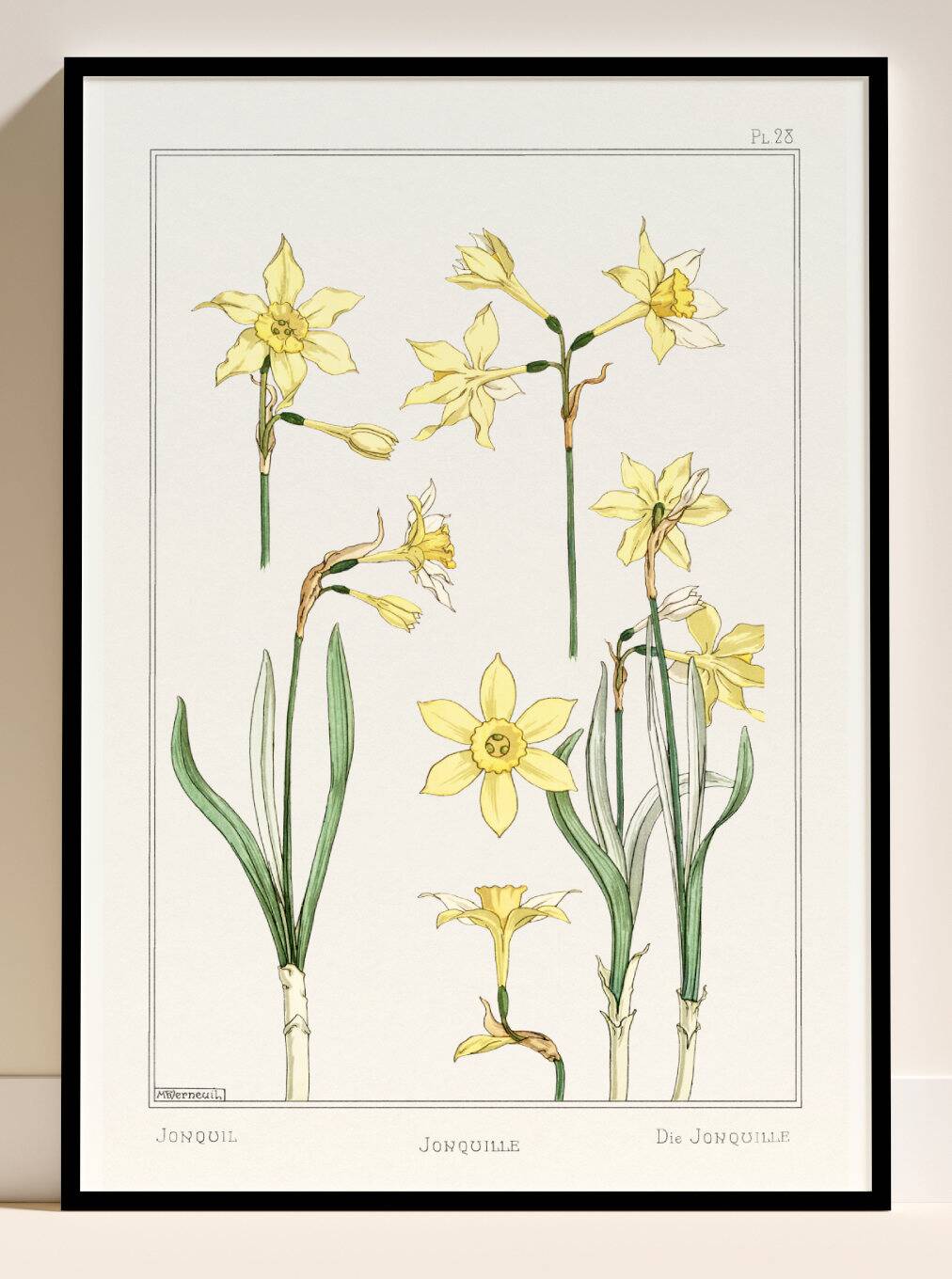“Daffodil” poster, after an Art Nouveau lithograph from 1897