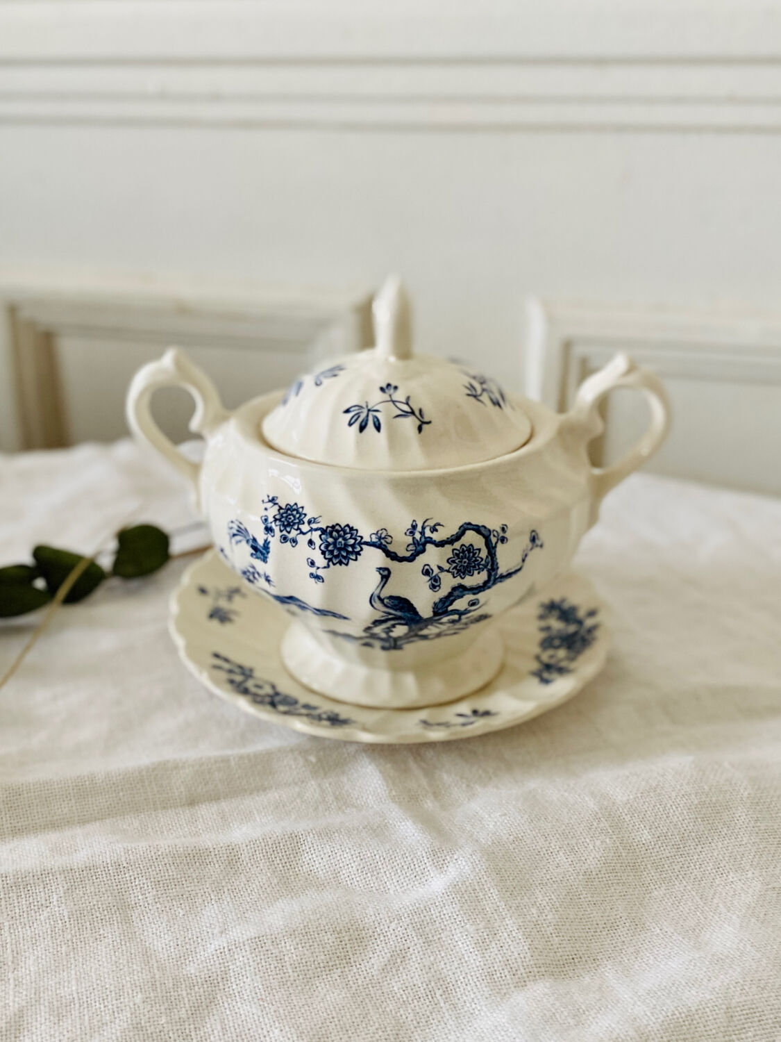 Old English porcelain sugar bowl Myott Staffordshire blue exotic birds decor