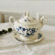 Sucrier ancien en porcelaine anglaise Myott Staffordshire décor bleu exotic birds