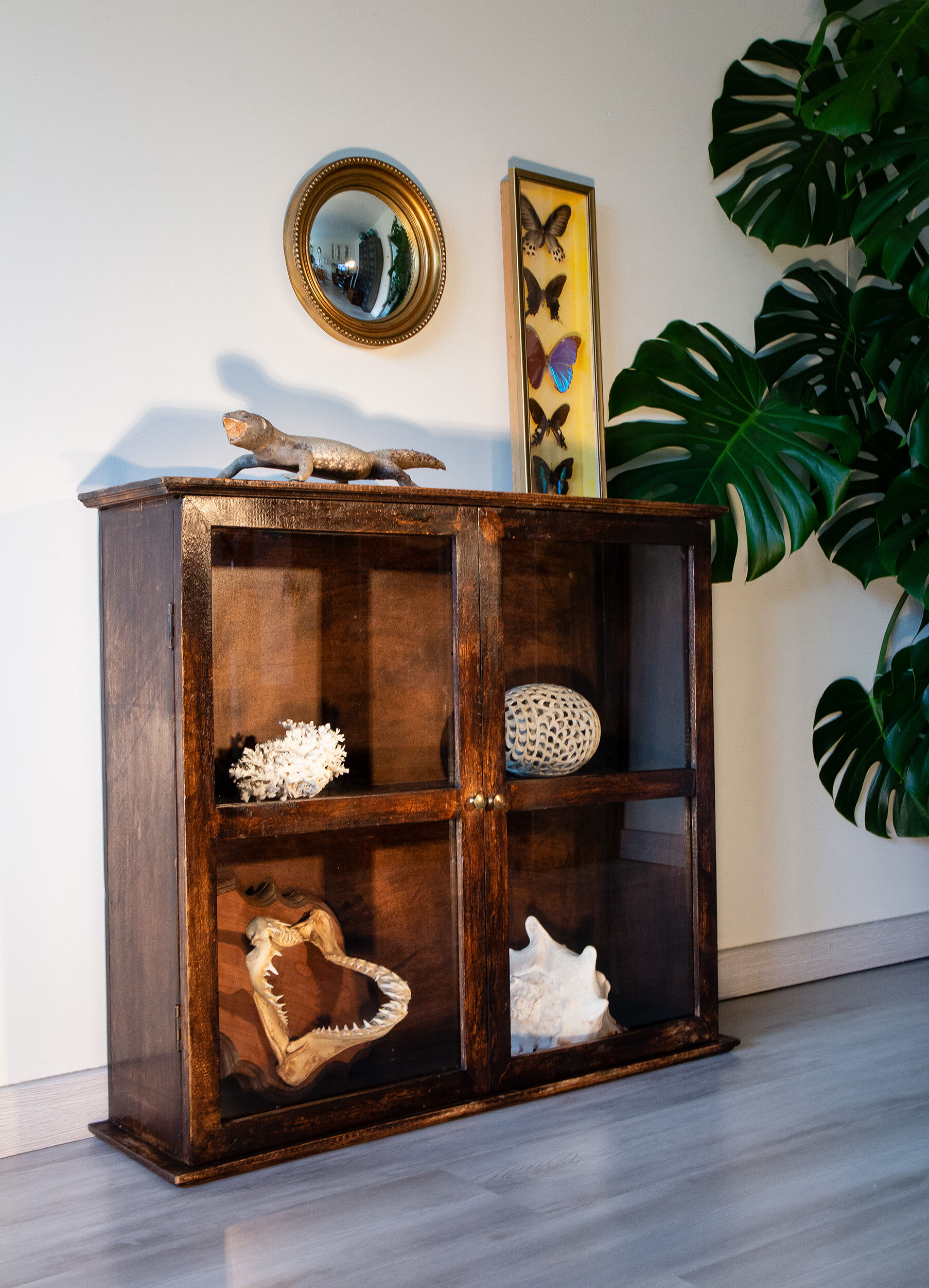 Black patinated wood showcase to be placed or hung