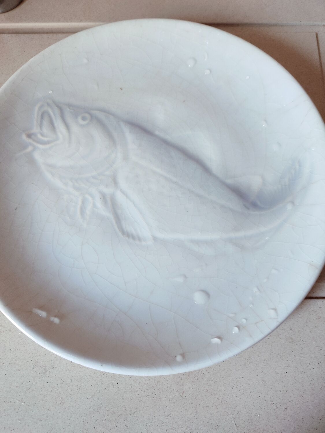 6 Saint Amand earthenware plates with fish