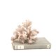 Natural vintage white coral branch, 1970s curiosity cabinet
