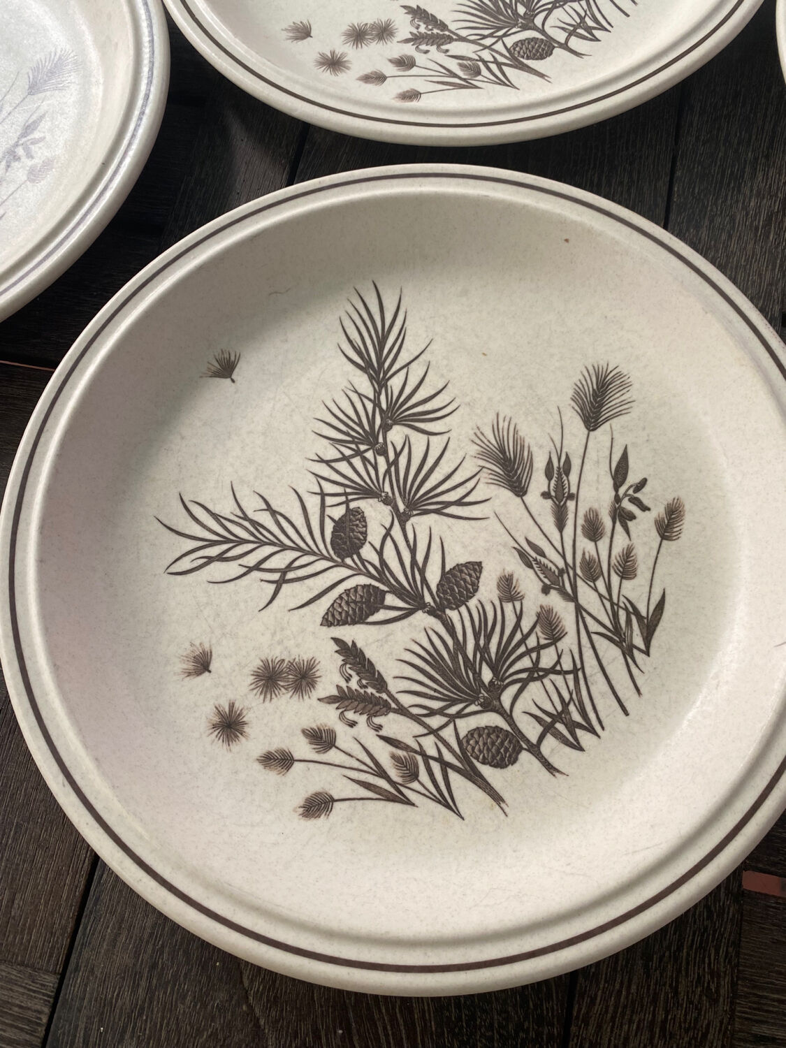 6 vintage Pinewood dinner plates