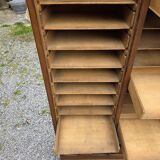 Antique double curtain cabinet in oak (internal drawers)