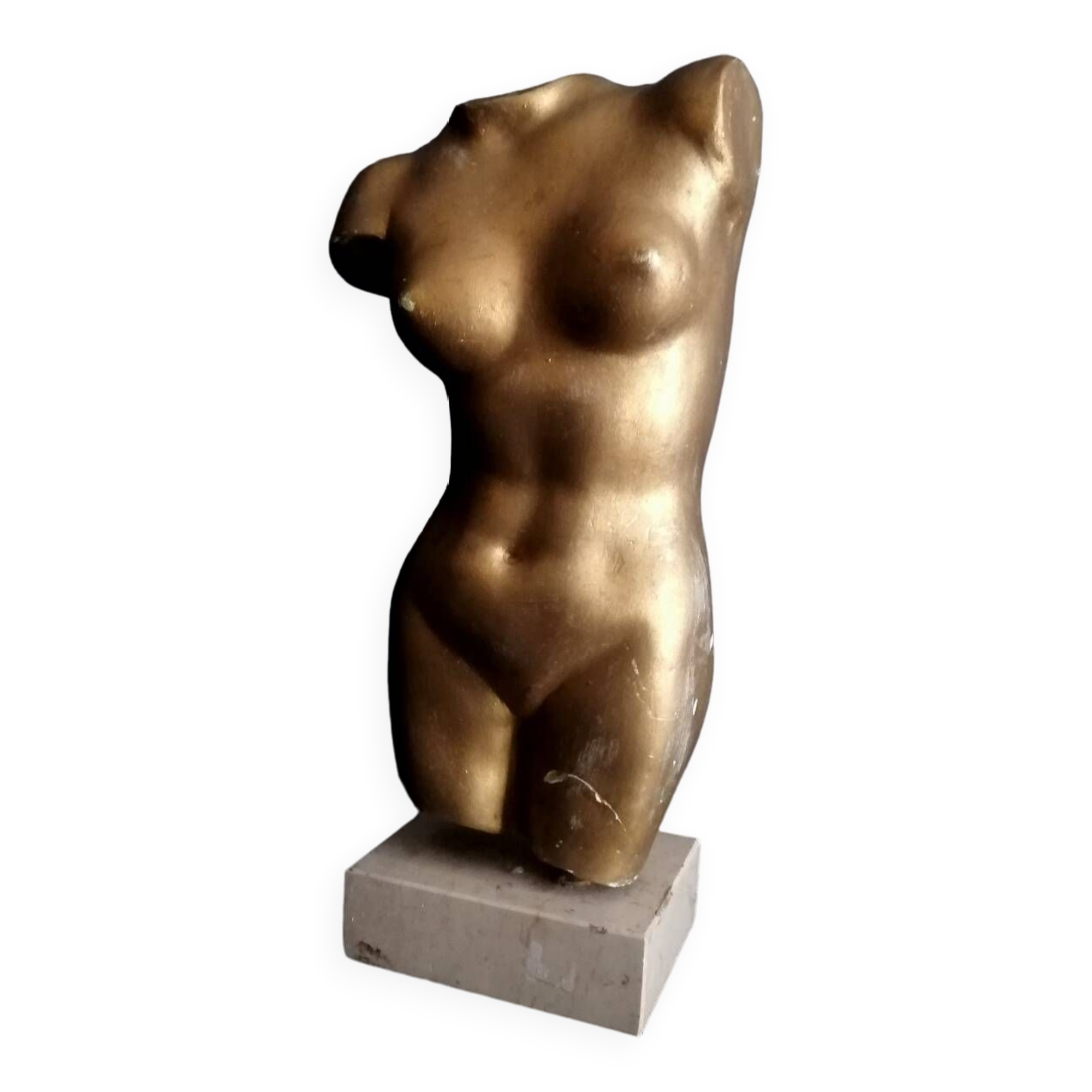 Bust Venus