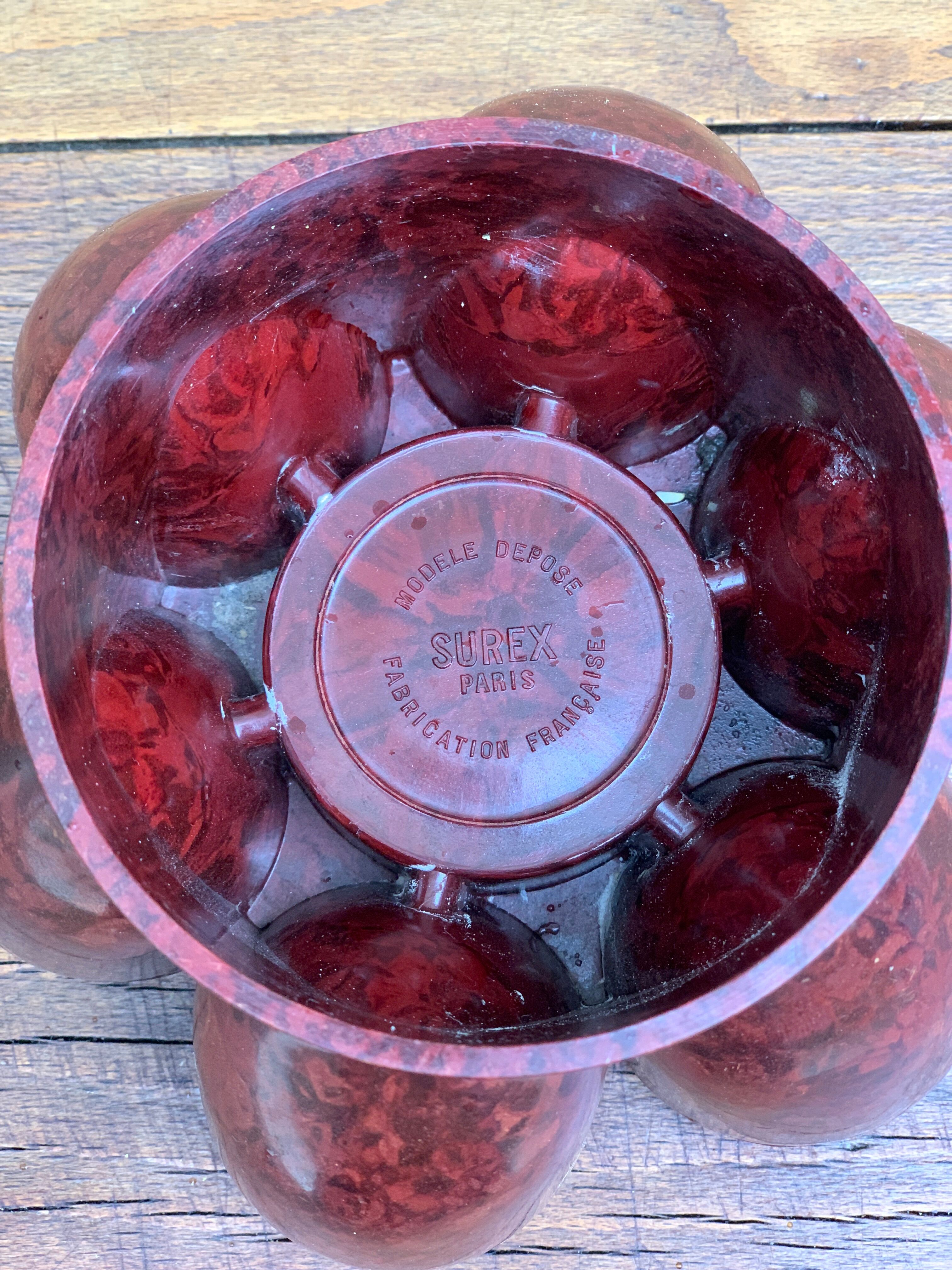 Cockroach in bakelite