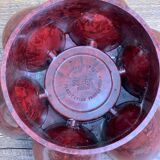 Cockroach in bakelite