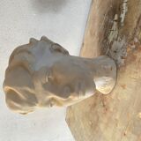 Decorative plaster head