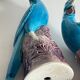 Pair of phenix birds chinese porcelain early 20th century