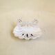 Cast iron scallop soap dish