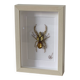 Tableau insecte brodé à la main (pièce unique)