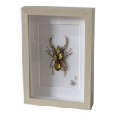 Hand-embroidered insect tableau (unique piece)