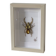 Tableau insecte brodé à la main (pièce unique)