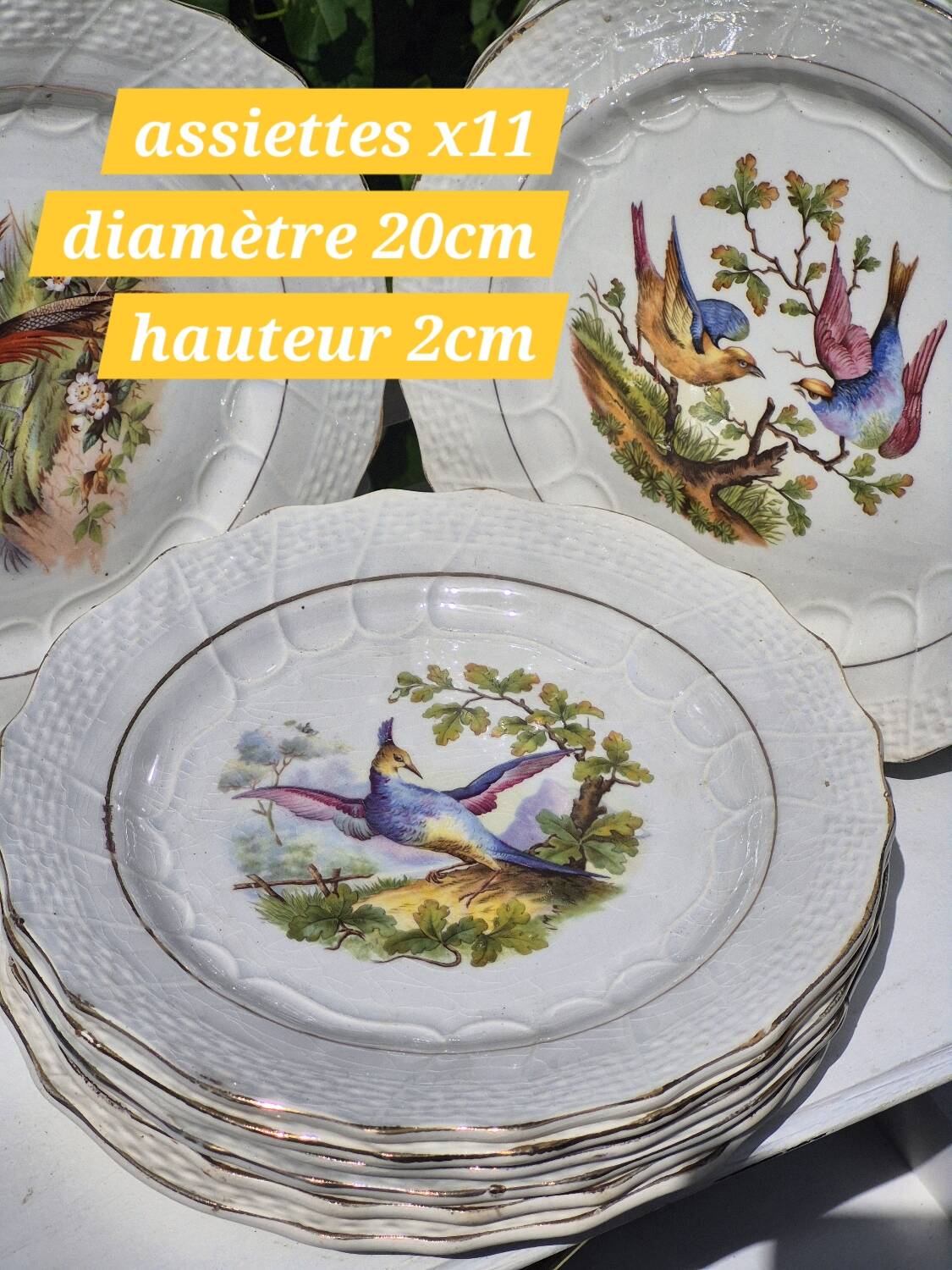 Bird dessert plates