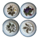 Ensemble de 4 Assiettes à dessert en Barbotine