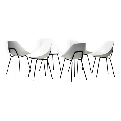 Six chaises Coquillage Pierre Guariche
