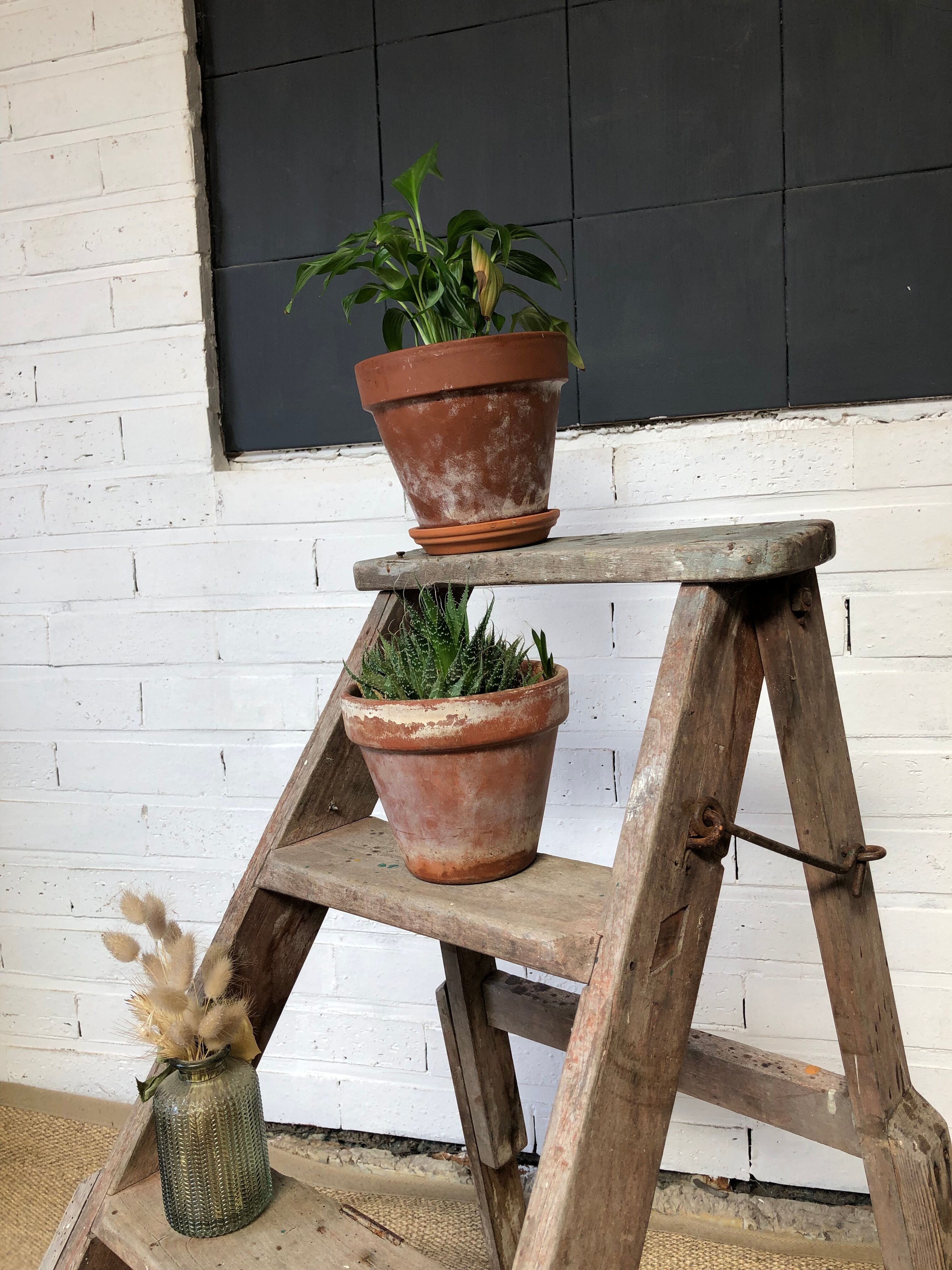 Removable painter's stepladder