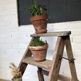 Removable painter's stepladder