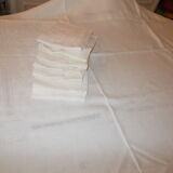 Damask tablecloth and napskins