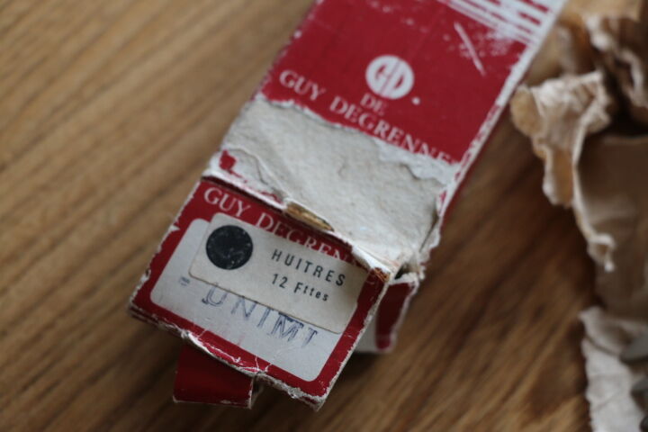 Box of 12 oyster forks Guy Degrenne