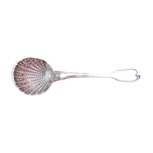 Cuillère à sucre saupoudreuse