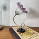 Swan neck wall light in brass with glass tulip.