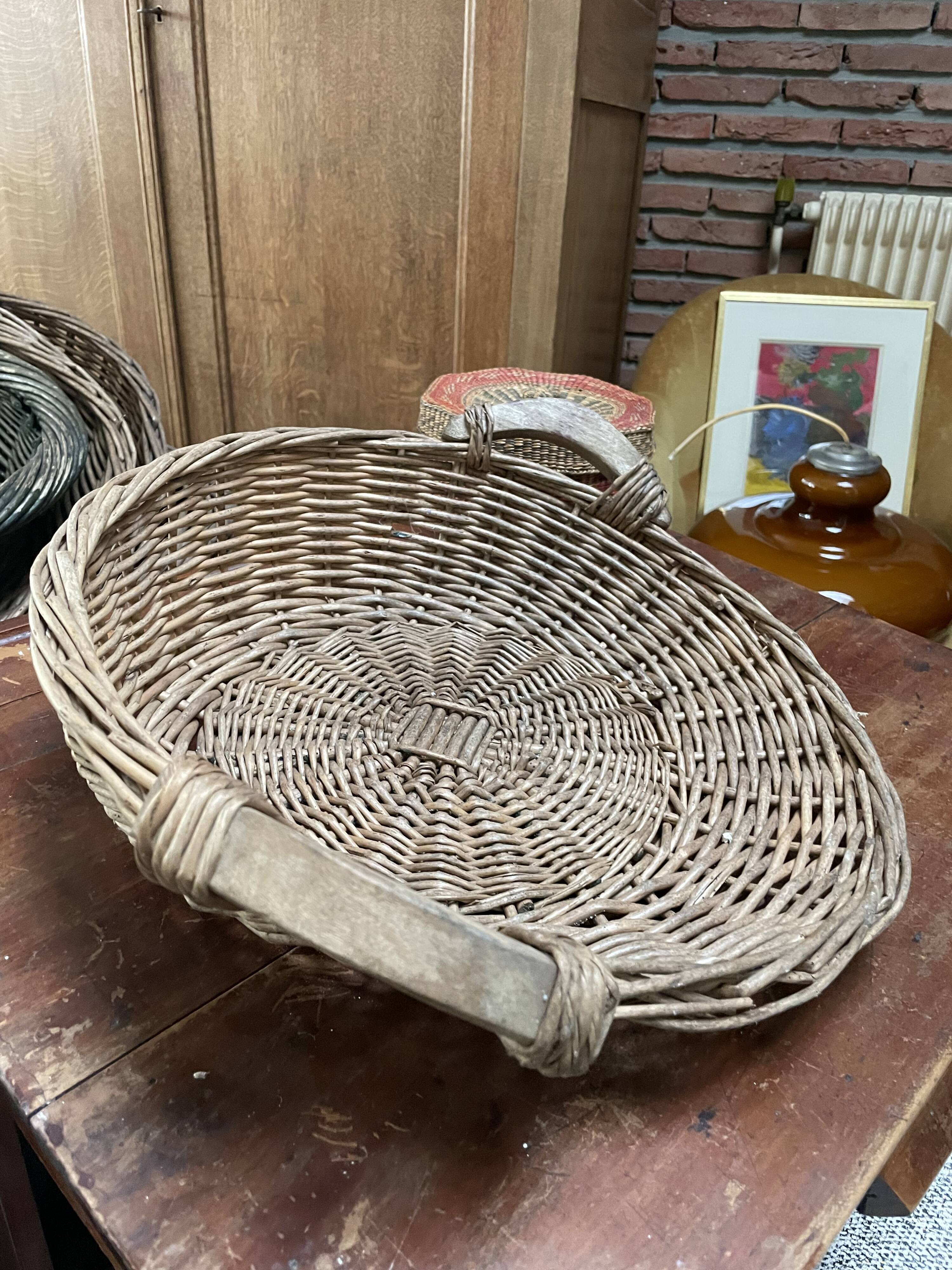 Cabbage Basket