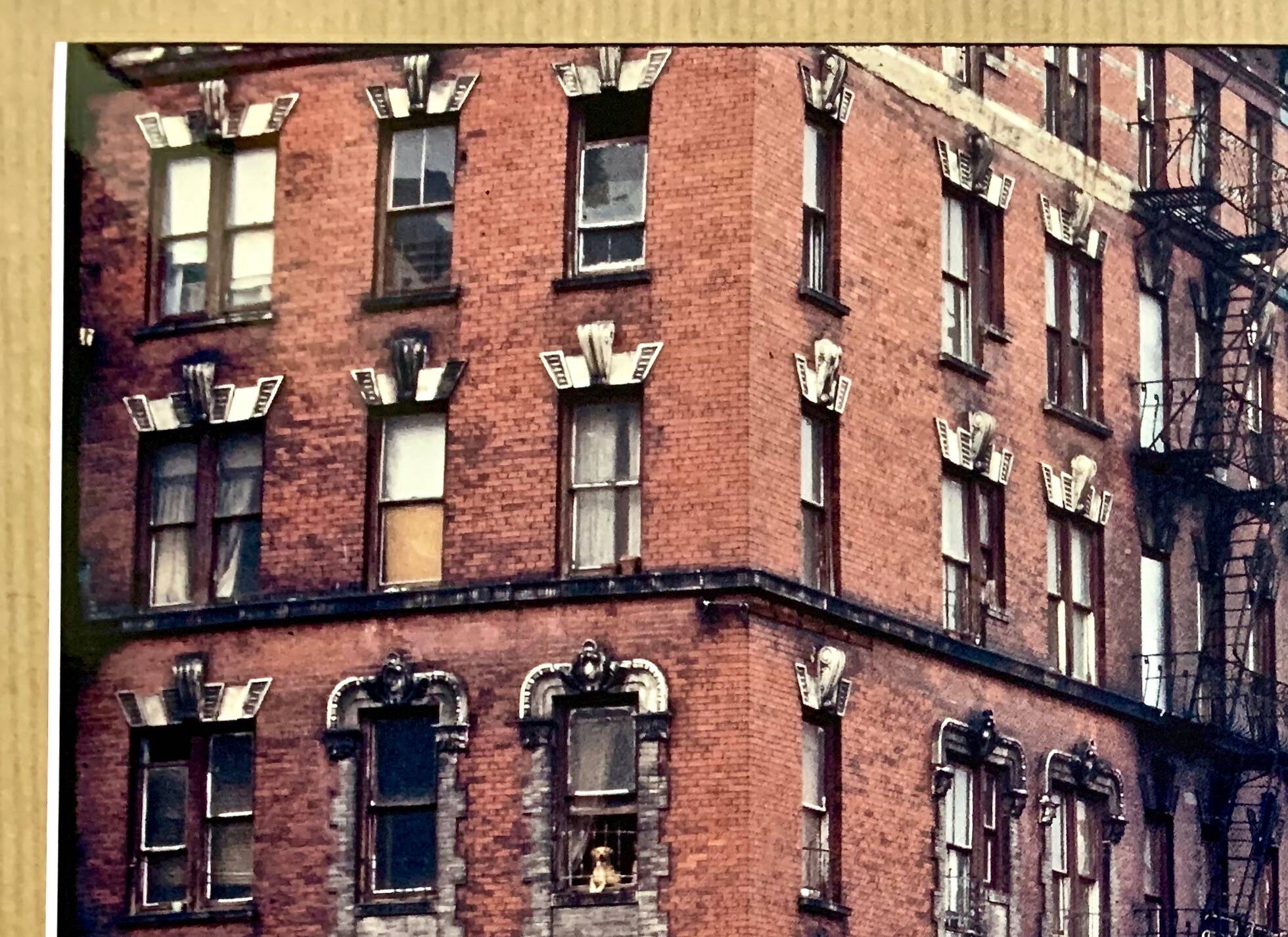 Harlem 1967 A photograph that captures the vibrant soul of New York in a moment.