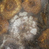 Alexadre kostanda 1950 margueritte