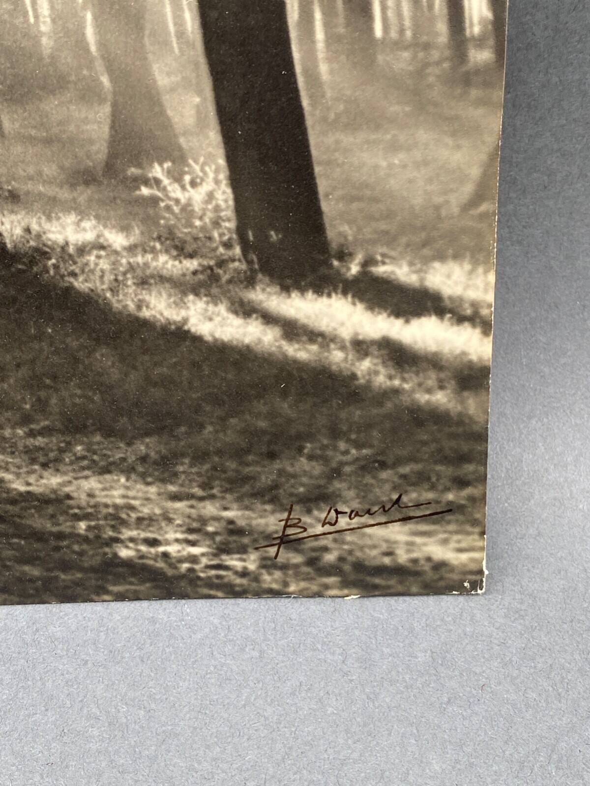 Film photograph by Bernard Darot, Morning in the Bois de Boulogne, Nantes Club