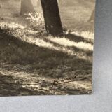 Film photograph by Bernard Darot, Morning in the Bois de Boulogne, Nantes Club