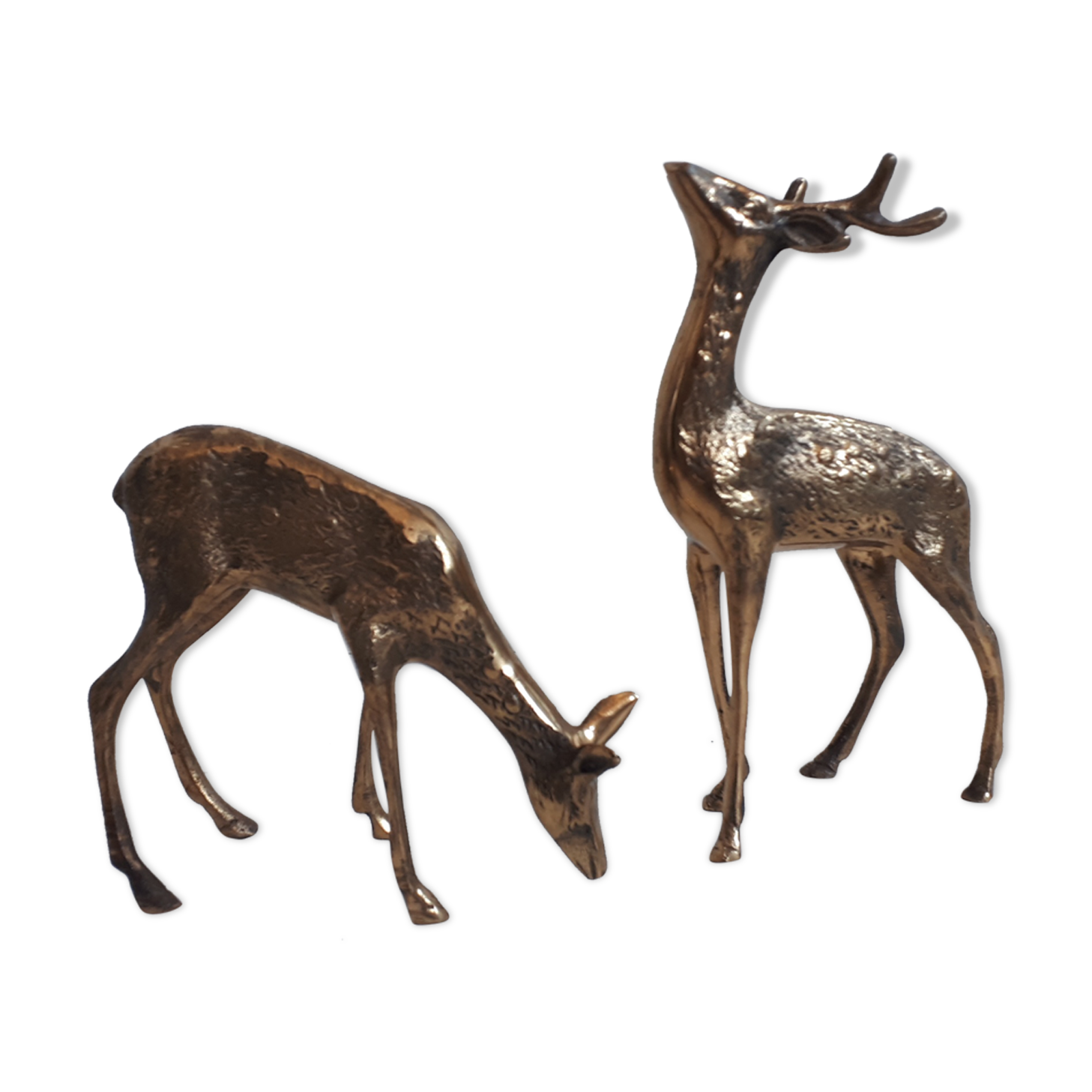 DuO deer and brass doe