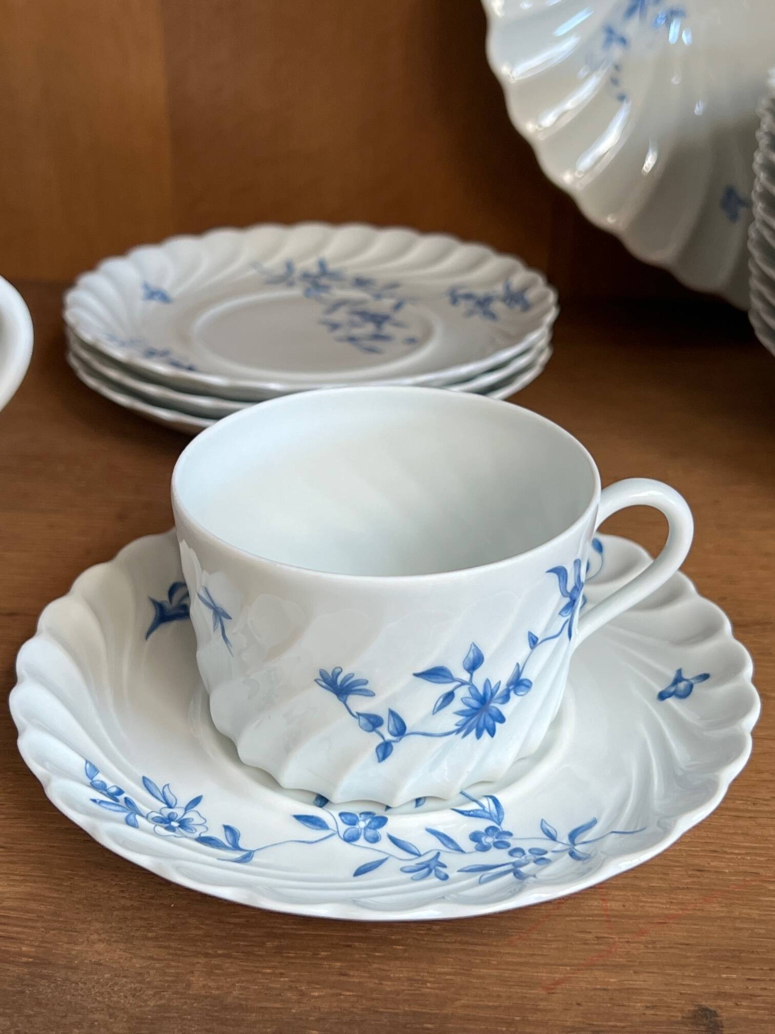 Haviland Limoges Porcelain Dinner and Coffee Service for 12