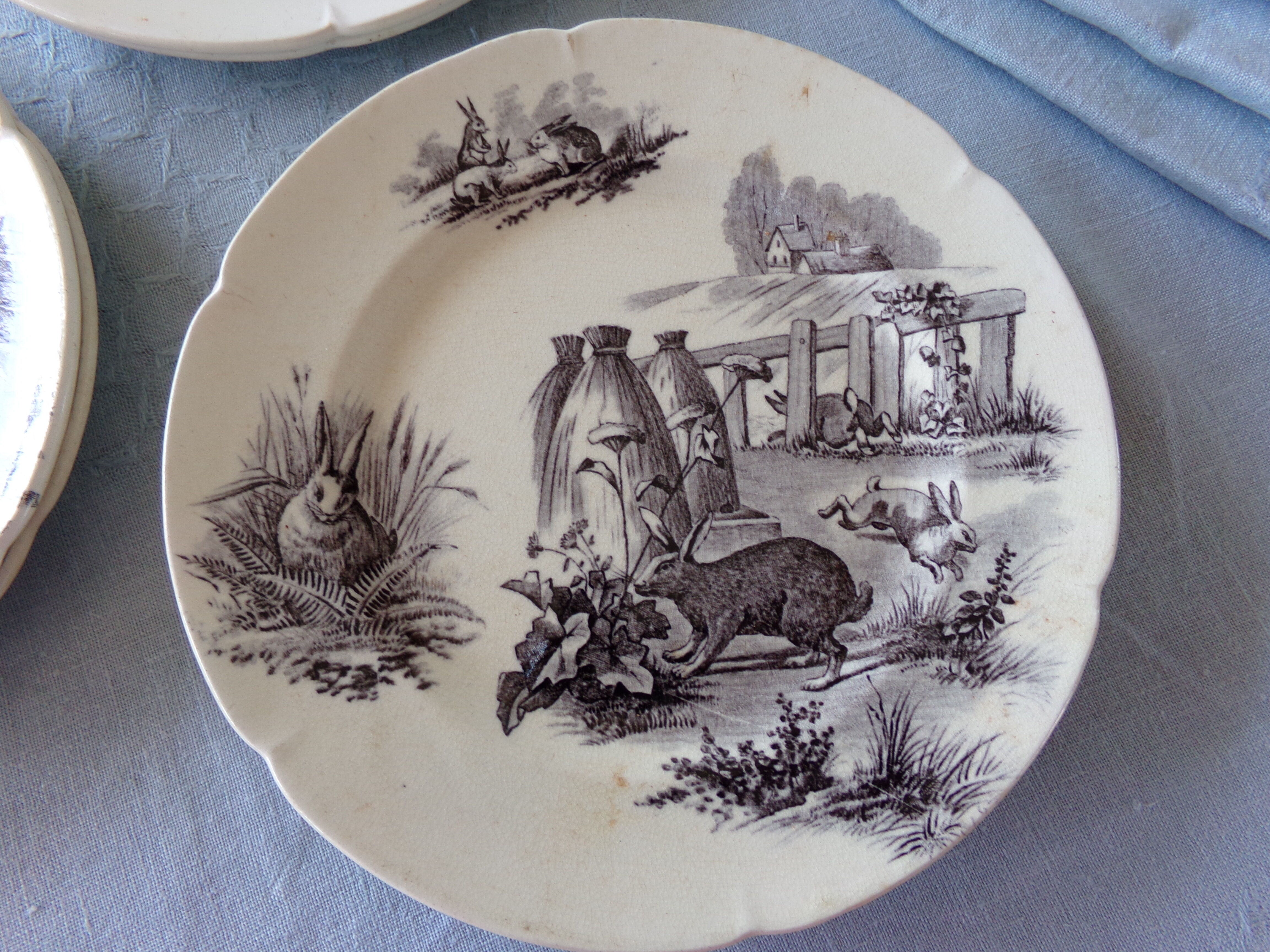 Old flat plates in earthenware iron and compotier