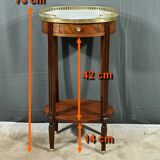 Mahogany Coffee Table, Louis XVI Style – Early 20th Century