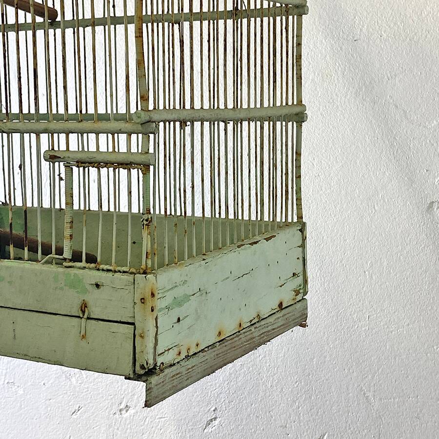 Cage à oiseaux